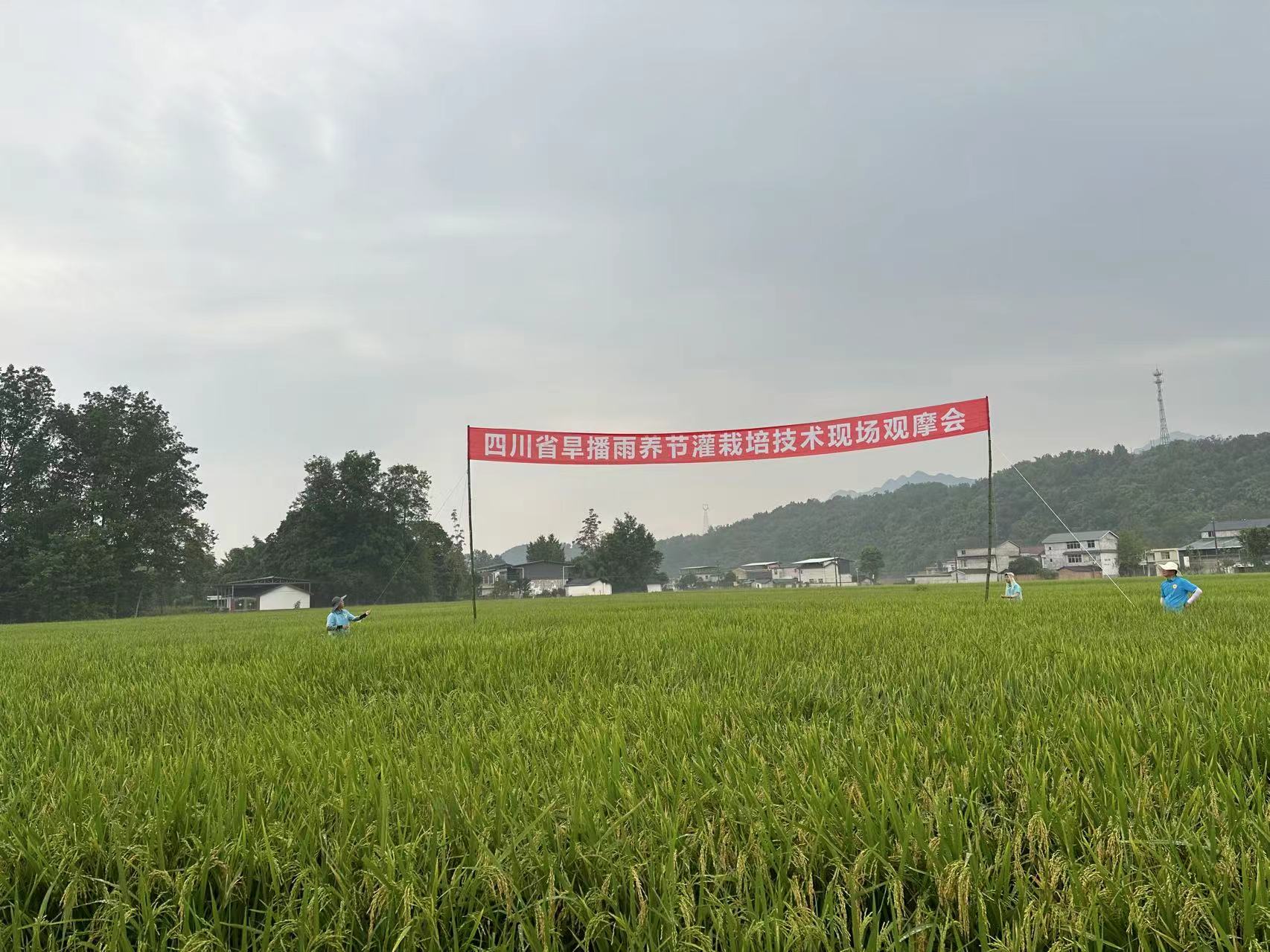 图4.jpg