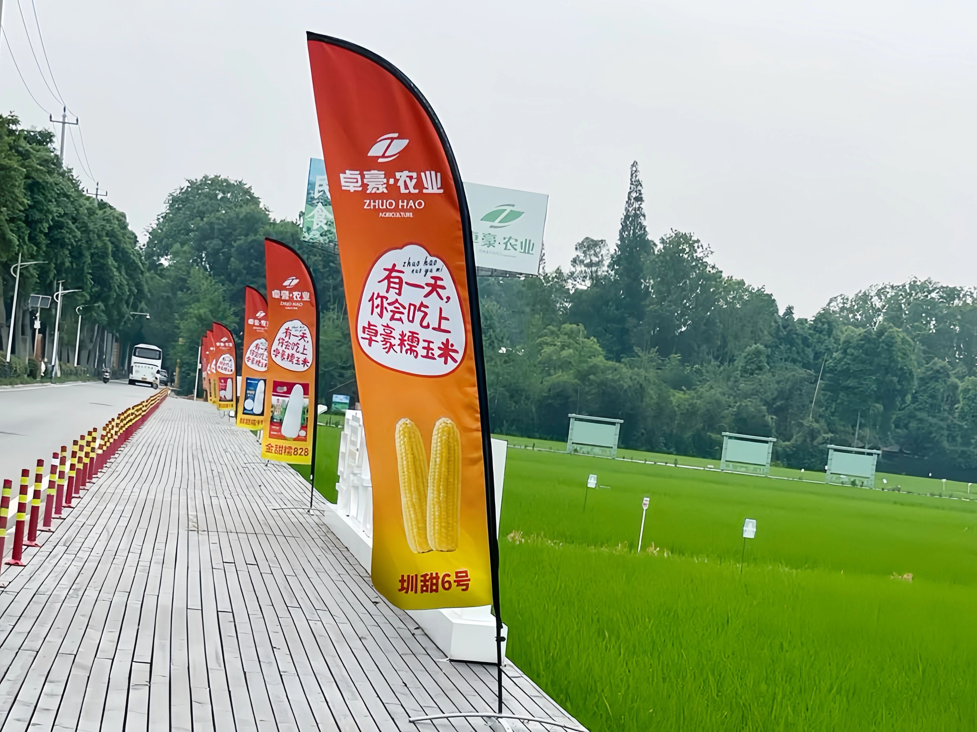 微信图片_20250709101803.jpg